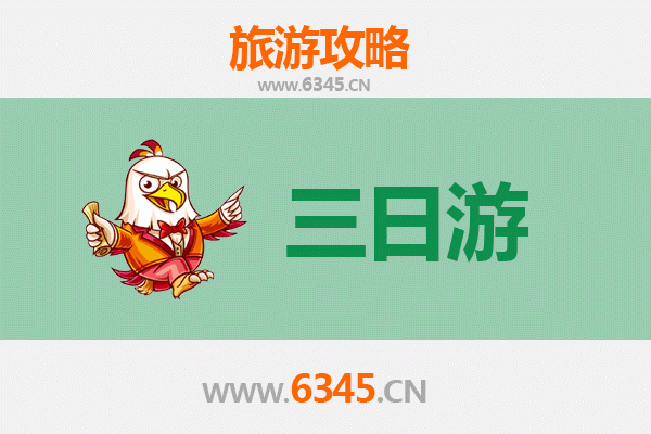 云林古坑春节三日游攻略 | 咖啡香与山林秘境的新春之旅