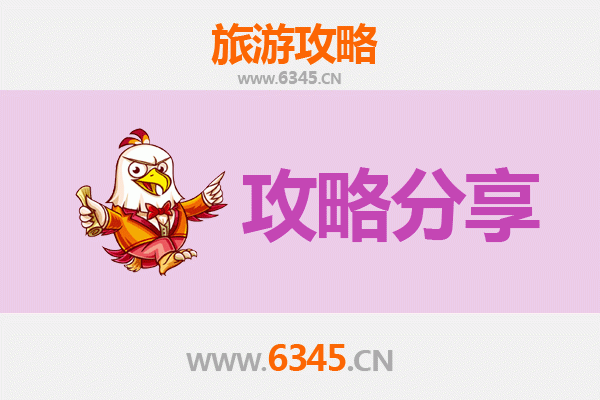 云林古坑至厦门鼓浪屿深度旅游攻略：闽台文化探索与海岛休闲之旅