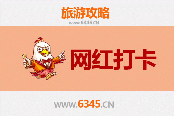 云林古坑到丽江古城深度游攻略：咖啡乡野到雪山古城的梦幻之旅